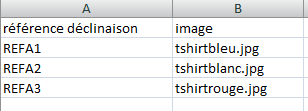 img_csv01.PNG